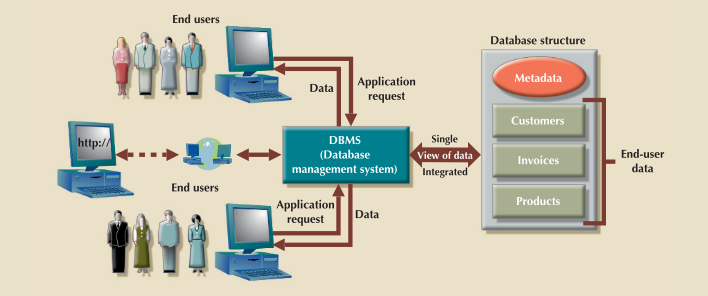 what is database management system and its types
